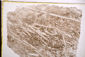 Plane Polarized, E21259