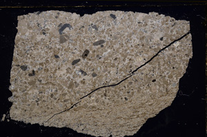 Cross Polarized, E21270