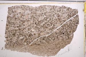 Plane Polarized, E21270