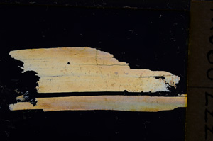 Cross Polarized, E21273