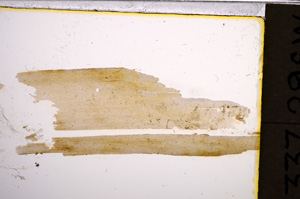 Plane Polarized, E21273