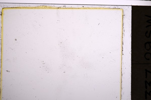Plane Polarized, E21273/A