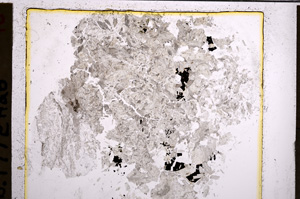 Plane Polarized, E21282