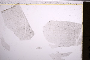 Plane Polarized, E21284