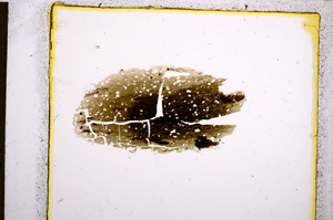 Plane Polarized, E21313/A