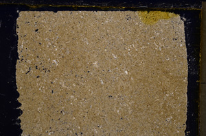 Cross Polarized, E21345