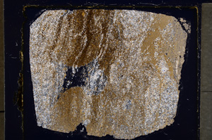 Cross Polarized, E21347