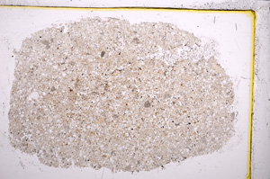 Plane Polarized, E21380