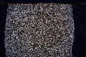 Cross Polarized, E21381