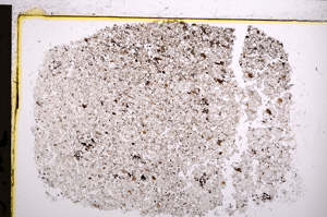 Plane Polarized, E21382