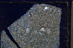 Cross Polarized, E21389