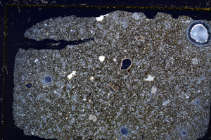 Cross Polarized, E21391