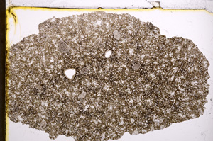 Plane Polarized, E21392