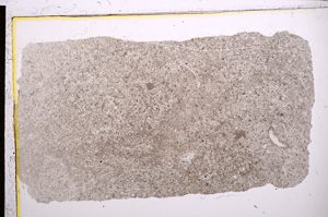 Plane Polarized, E21393