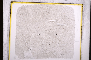 Plane Polarized, E21397