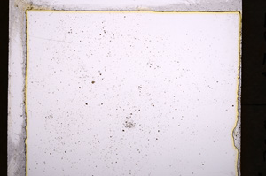 Plane Polarized, E21397/A