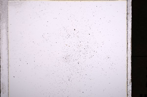 Plane Polarized, E21397/B