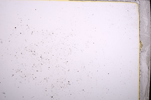 Plane Polarized, E21398/A