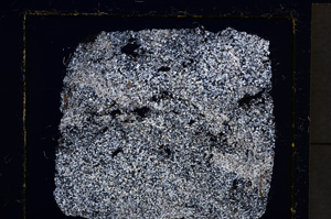 Cross Polarized, E21399