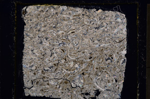 Cross Polarized, E21400