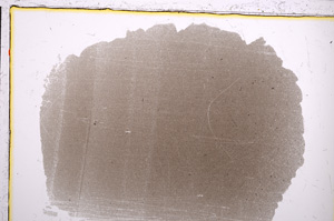 Plane Polarized, E21423