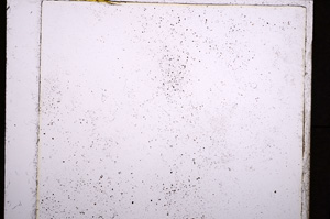 Plane Polarized, E21428/A
