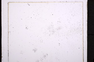 Plane Polarized, E21428/B