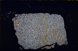 Cross Polarized, E21439