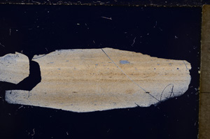 Cross Polarized, E21441