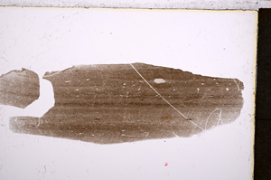 Plane Polarized, E21441