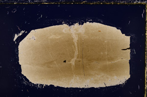 Cross Polarized, E21444