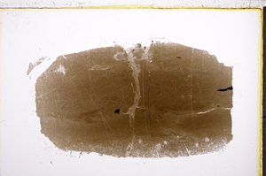 Plane Polarized, E21444