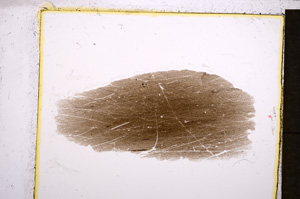 Plane Polarized, E21445