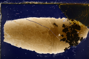 Cross Polarized, E21446