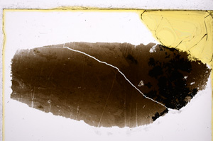 Plane Polarized, E21446