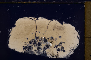 Cross Polarized, E21446/A