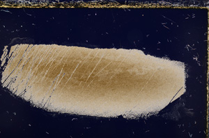 Cross Polarized, E21447