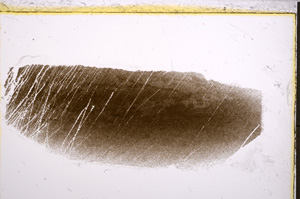 Plane Polarized, E21447