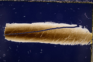 Cross Polarized, E21448