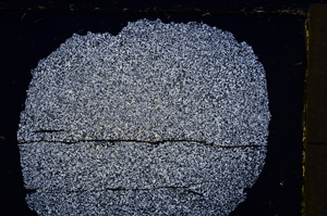 Cross Polarized, E21449