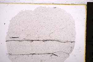 Plane Polarized, E21449