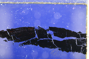 Cross Polarized, E21450