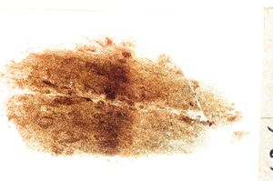 Plane Polarized, E21455/A