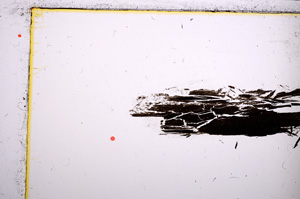 Plane Polarized, E21458