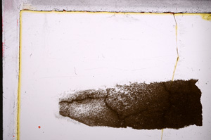 Plane Polarized, E21459