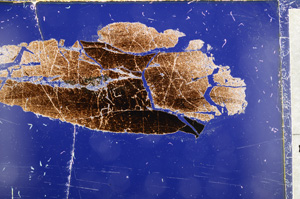 Cross Polarized, E21463