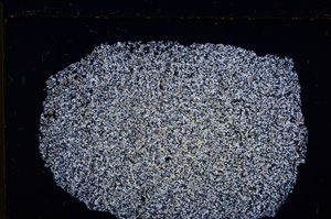 Cross Polarized, E21465