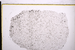 Plane Polarized, E21465