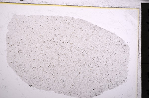 Plane Polarized, E21466