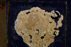 Cross Polarized, E21467